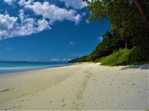 Havelock Island Swaraj Dweep Rsr Tours And Travel