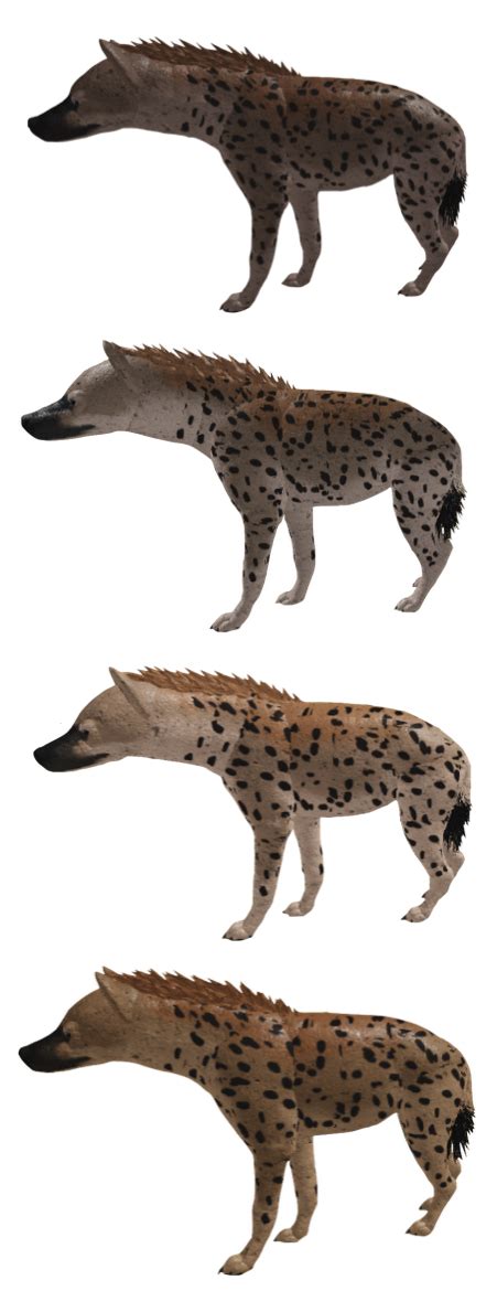 Spotted Hyena Roblox Wild Savannah Wiki Fandom