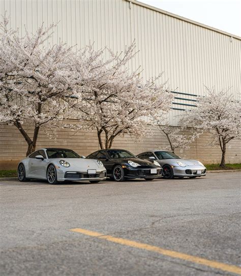 Cherry Blossoms X 911 Rporsche