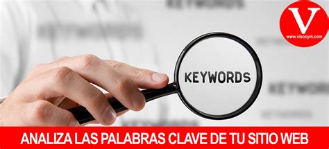 Analiza Las Palabras Clave Del Sitio Web De Tu Empresa Visocym