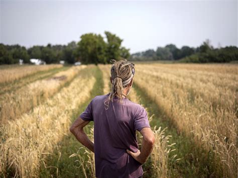 Rewilding Remembering Mad Agriculture Regenerative Farming