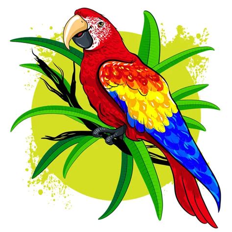 View 29 Realistic Beautiful Parrot Drawing With Colour