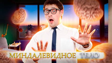 Как ничего не бояться? Миндалевидное тело и как его контролировать ...