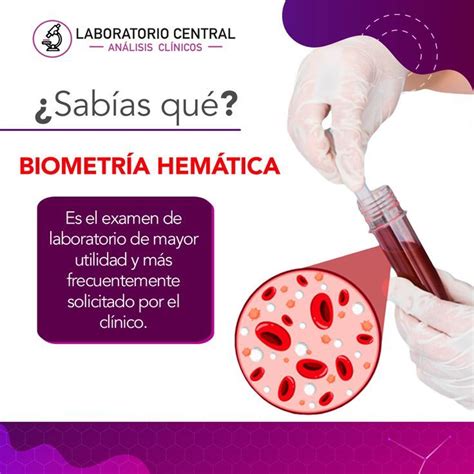 Biometría Hemática en 2024 Biometría Examenes de laboratorio