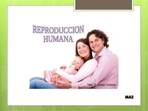 La Reproduccion Humana Ppt