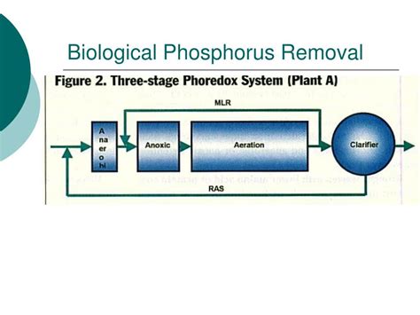 Ppt Nutrient Removal In Activated Sludge Powerpoint Presentation