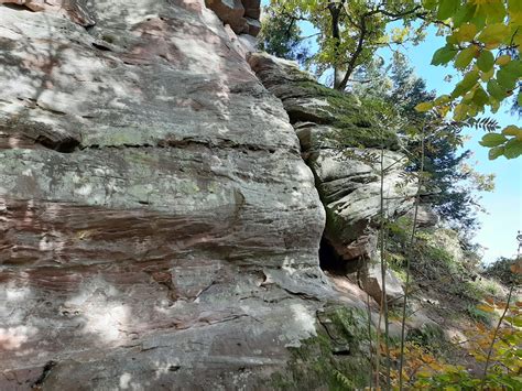 Der Schwarzwald und seine Natur Wanderung im Verlauf des Qualitätswegs