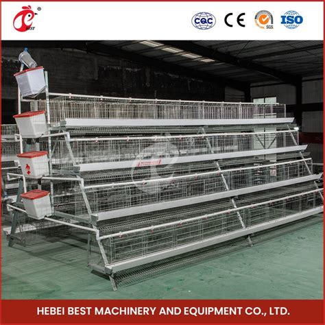 Bestchickencage Ordinary Type Layer Cage China Pullet Chicken Layer