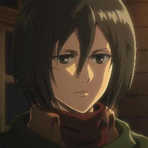 Hit Or Be Hit Mikasa X Male Reader Au By Fanficadan On Deviantart