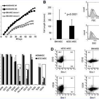 Signaling Molecules Produced By Hesc Mscs A Immunofluorescence Of