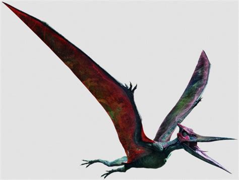 Pteranodon sp. (S/F) / (S/F-T/G) / (S/F-S) – Jurassic-Pedia