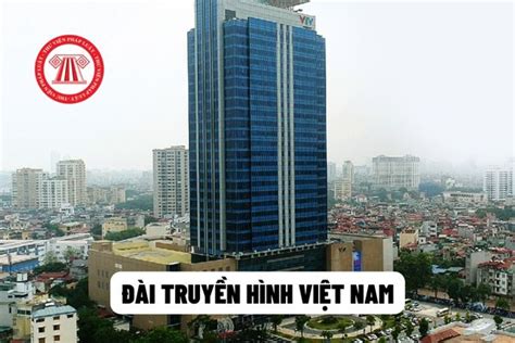 Đài Truyền hình Việt Nam có phải là cơ quan thuộc Chính phủ không? Tổng ...