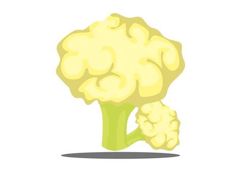 Un Dibujo De Una Coliflor Vector Premium