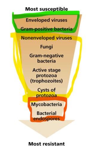 Microbial Growth Control Unit Flashcards Quizlet