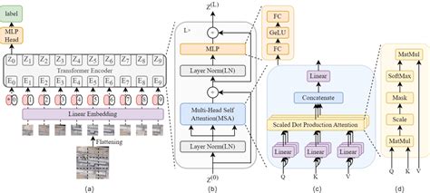 The Illustration Of The Proposed ViT Architecture A The Main