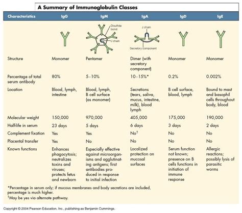 Five Major Classes Of Antibodies And Their Biological Activities Online Science Notes