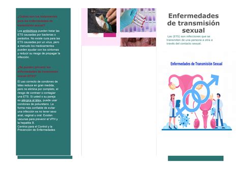 Triptico enfermedades de transmisión sexual Cuáles son los