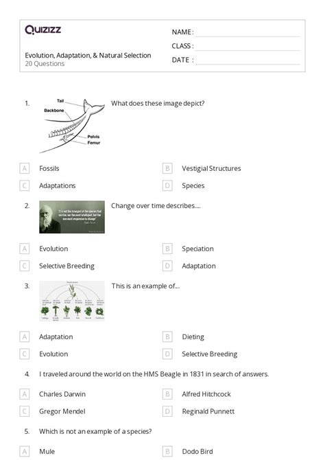 Adaptations And Natural Selection Worksheet