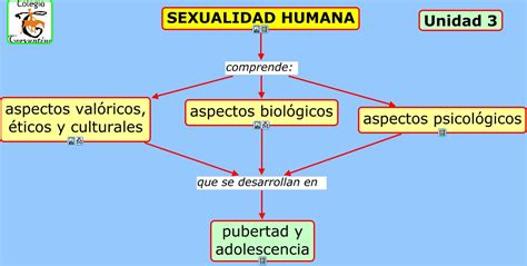 Unidad 4 Reproduccción Y Sexualidad Humana