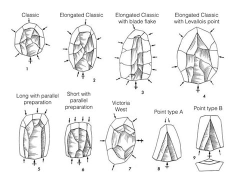 EVERYTHING ABOUT ARCHAEOLOGY: WHAT IS THE LEVALLOIS TECHNIQUE?