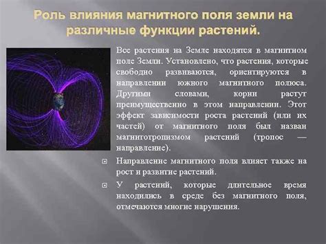 РОЛЬ МАГНИТНОГО ПОЛЯ ЗЕМЛИ В ЖИЗНИ ЧЕЛОВЕКА,