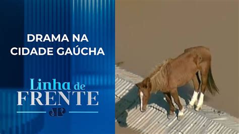 Cavalo Ilhado Em Telhado Resgatado Em Canoas Rs Linha De Frente