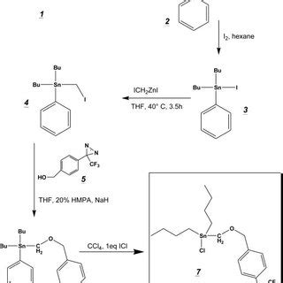 Chemical synthesis of the photoactivatable organotin derivative 7... | Download Scientific Diagram