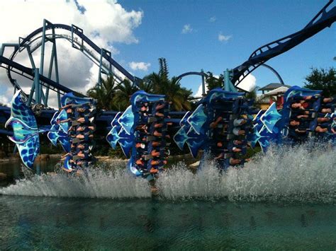 Manta photo from SeaWorld Orlando - CoasterBuzz | Seaworld orlando, Sea ...