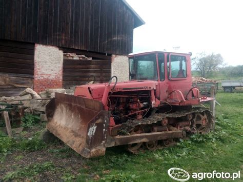Obraz ciagnik Dt-75 id:662363 - Galeria rolnicza agrofoto