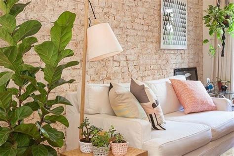 Decoração plantas na área interna inspire se em 10 ideias lindas