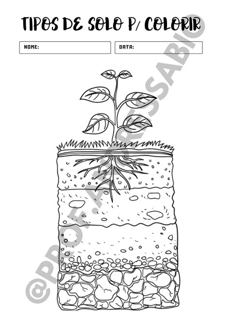 Melhor Ideia De Tipos De Solo Atividades Sobre O Solo Atividades The