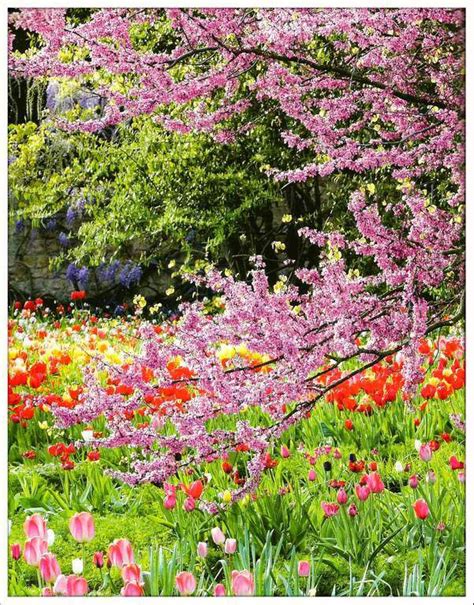 Jardin au printemps - Balades comtoises