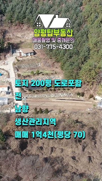 양평토지매매 매물번호 498번 국유림 접하고 남향으로 탁트인 조망권 농막 및 바로 건축 가능한 토지shorts Youtube