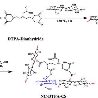 Chemical reaction and structure of NC-DTPA-CS | Download Scientific Diagram