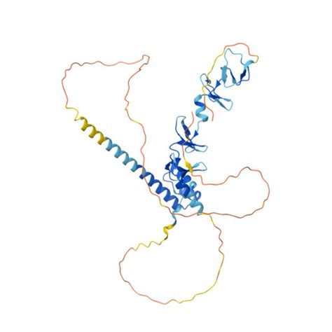 Rcsb Pdb Af Afq F Computed Structure Model Of Lim Homeobox