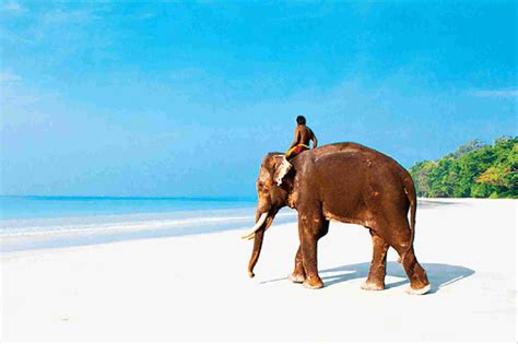 Best Andaman Tour Packages Andaman Tourism Andaman Tourism Packages