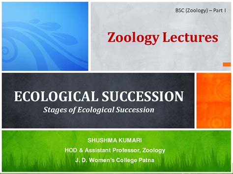 Solution Process Of Ecological Succession Studypool