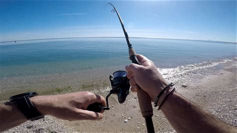 Pesce Serra Dalla Spiaggia Con Jig Da 20gr Bluefish In Shore With