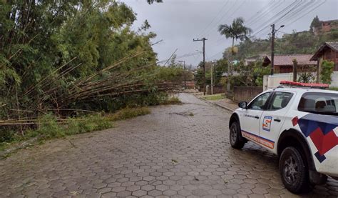 Chuva Intensa E Fortes Ventos Causam Destelhamento E Quedas De Rvores