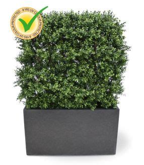 Kunst Buxus Bol Deluxe Cm Maxifleur Kunstplanten