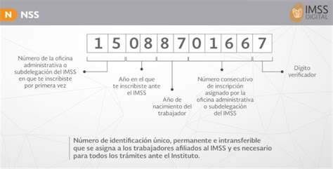 Número de Seguridad Social del IMSS cómo hacer el trámite por