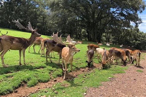 Excursión al Bioparque Estrella desde Santiago de Querétaro