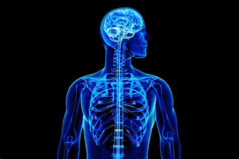Can Physical Therapy Help a Spinal Cord Injury Patient? - 1on1 Physical ...