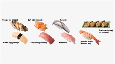 Sushi Fish Chart