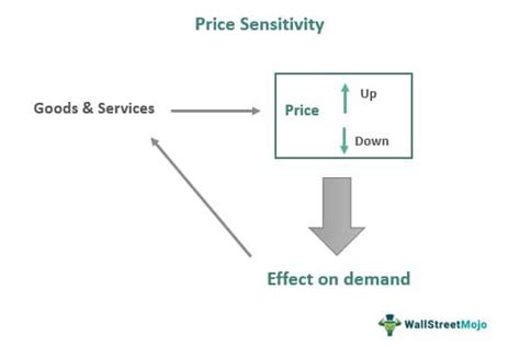 Price Sensitivity Meaning Example Factors