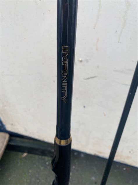 Daiwa Infinity Carp Rods Ft Ebay