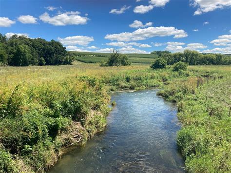 Summer Creek Free Photo On Pixabay Pixabay