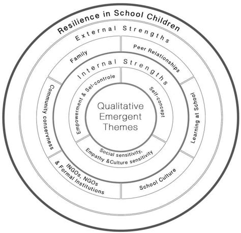 Emergent Themes From Qualitative Data Download Scientific Diagram