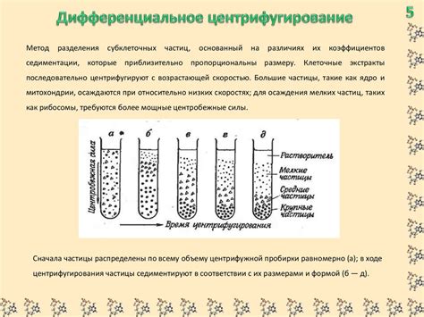 Центрифугирование - презентация онлайн