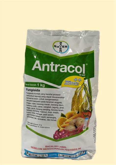 Antracol Wp Kg Tanitoon Id